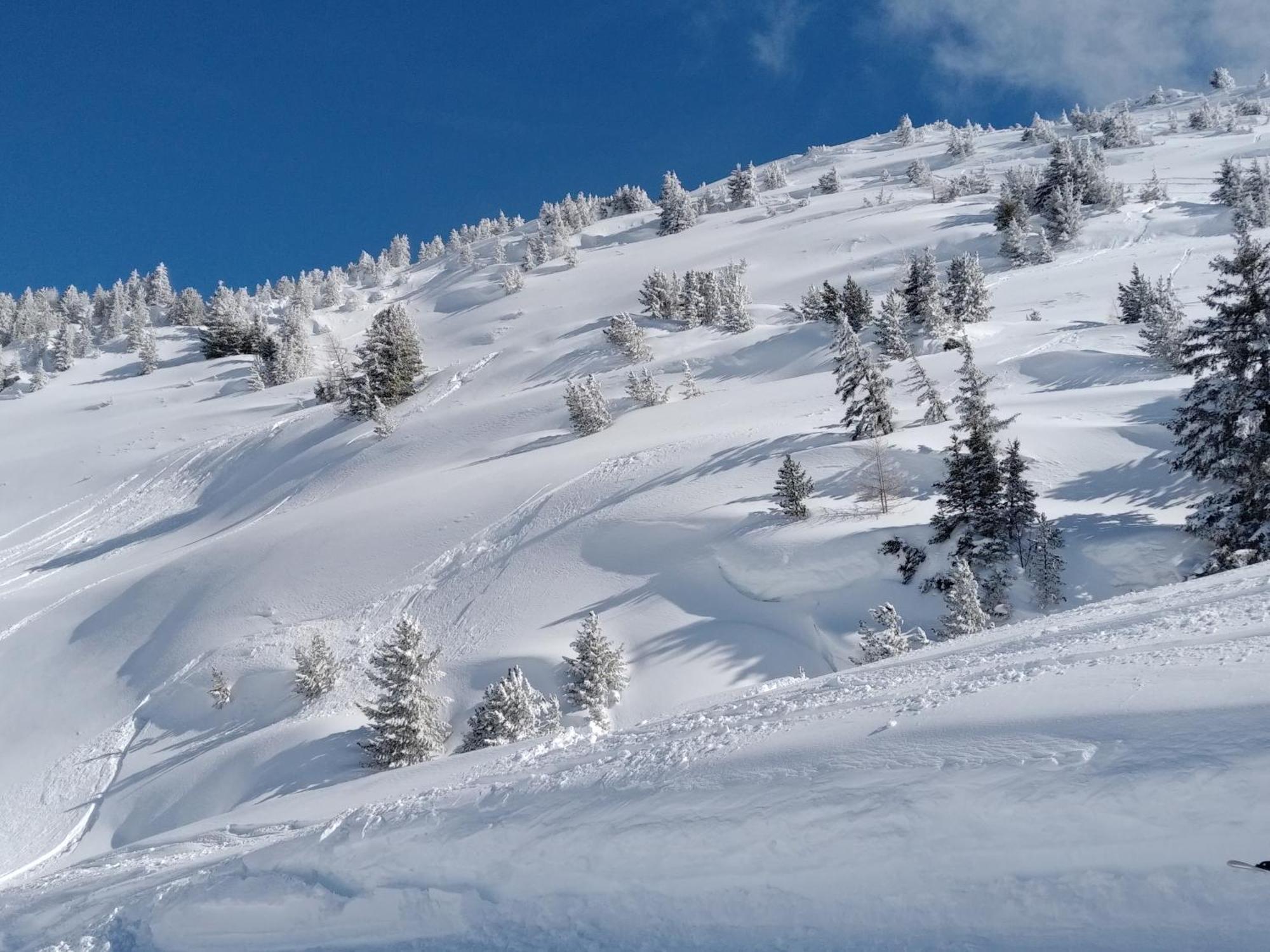 Chalet Walser A Vallorcine 13 Kms Chamonix France Ngoại thất bức ảnh